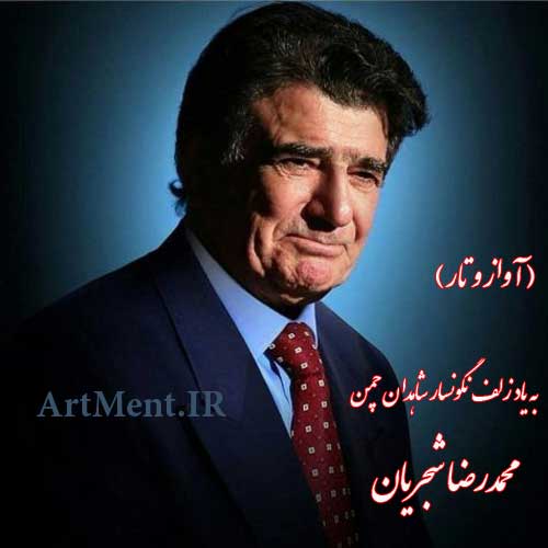 دانلود آهنگ ( آواز و تار ) به یاد زلف نگونسار شاهدان چمن محمدرضا شجریان
