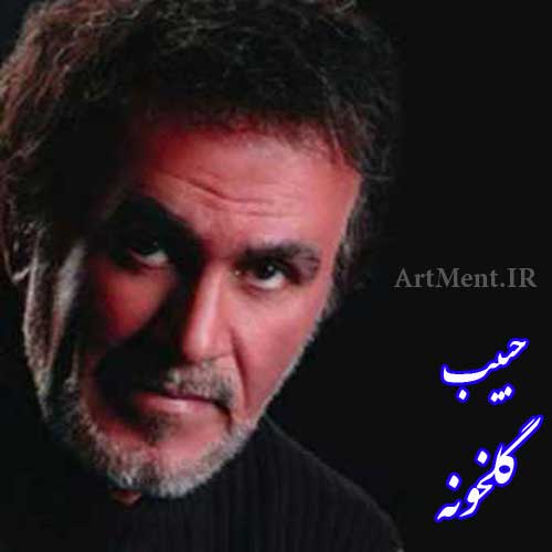 دانلود آهنگ گلخونه حبیب