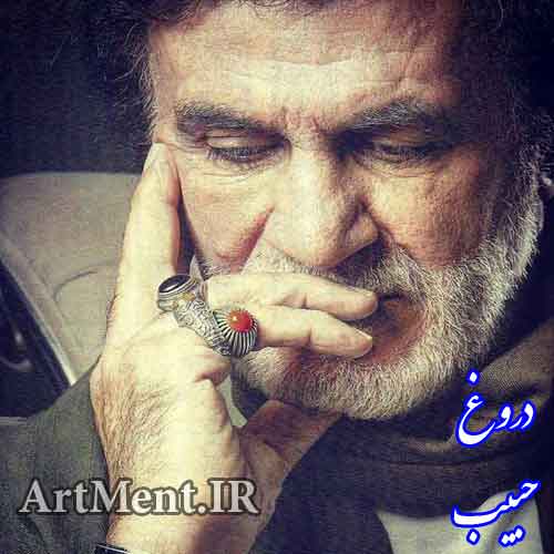 دانلود آهنگ دروغ حبیب