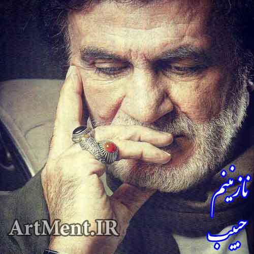 دانلود آهنگ نازنینم حبیب