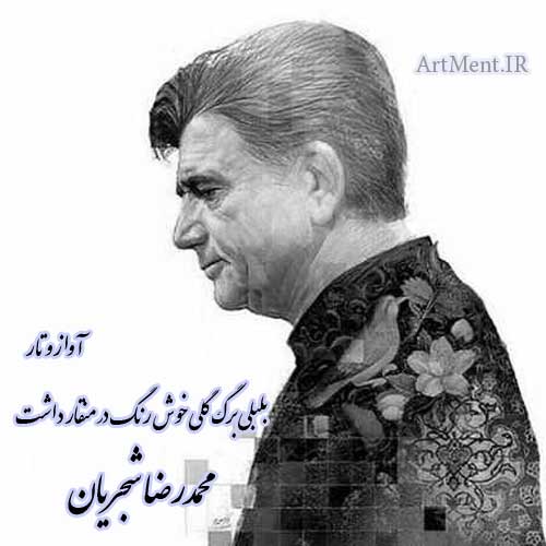 دانلود آهنگ ( آواز و تار ) بلبلی برگ گلی خوش رنگ در منقار داشت محمدرضا شجریان