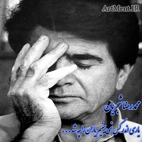 دانلود آهنگ ( ساز و آواز ) یاری اندر کس نمیبینیم یاران را چه شد محمدرضا شجریان