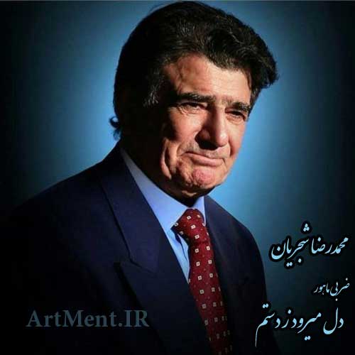 دانلود آهنگ ( ضربی ماهور ) دل میرود ز دستم محمدرضا شجریان