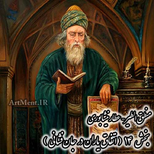 منطق الطیر عطار نیشابوری بخش 14 ( اتفاق یاران در جانفشانی )
