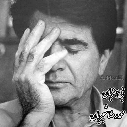 دانلود آهنگ ( تصنیف ) بی همزبان محمدرضا شجریان