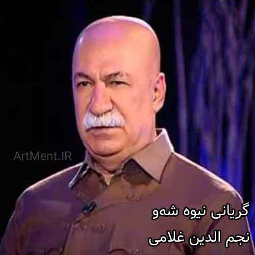 دانلود آهنگ گریانی نیوه شه‌و نجم الدین غلامی