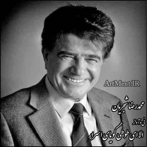 دانلود قطعه نی و آواز ( الا ای طوطی گویا‌ی اسرار ) محمدرضا شجریان