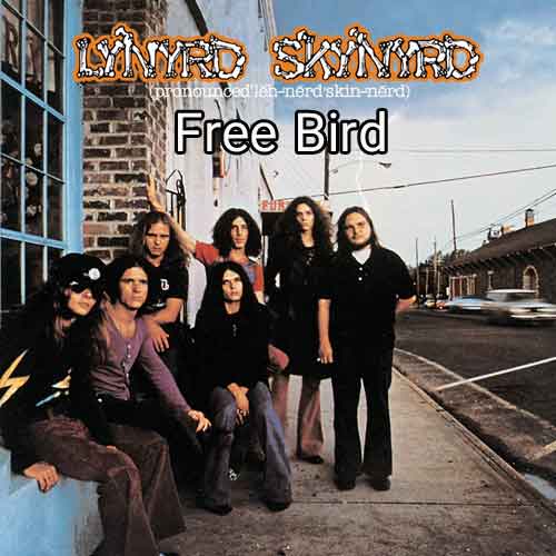 دانلود آهنگ Free Bird Lynyrd Skynyrd