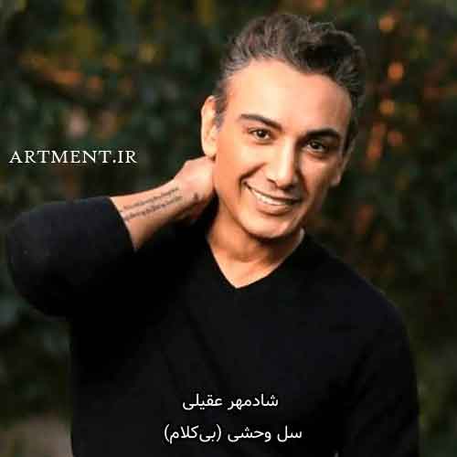 دانلود آهنگ بی کلام سل وحشی شادمهر عقیلی