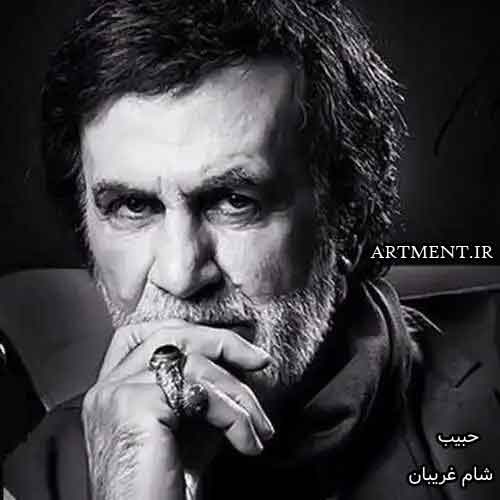 دانلود آهنگ شام غریبان حبیب